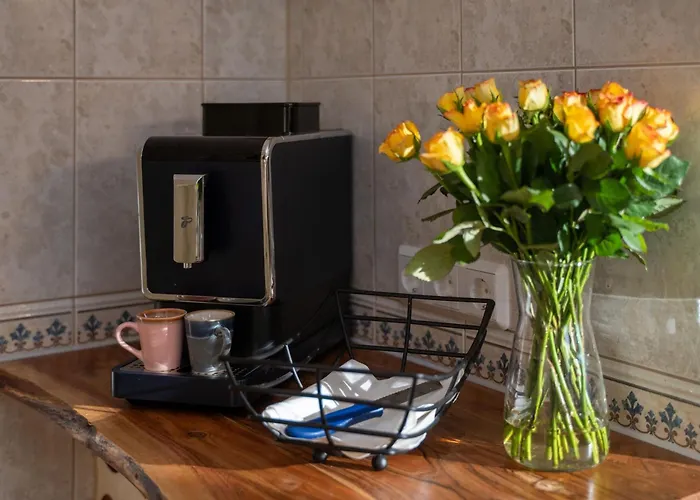 Sylter Seestern App Wattglueck Appartement Morsum (Sylt)